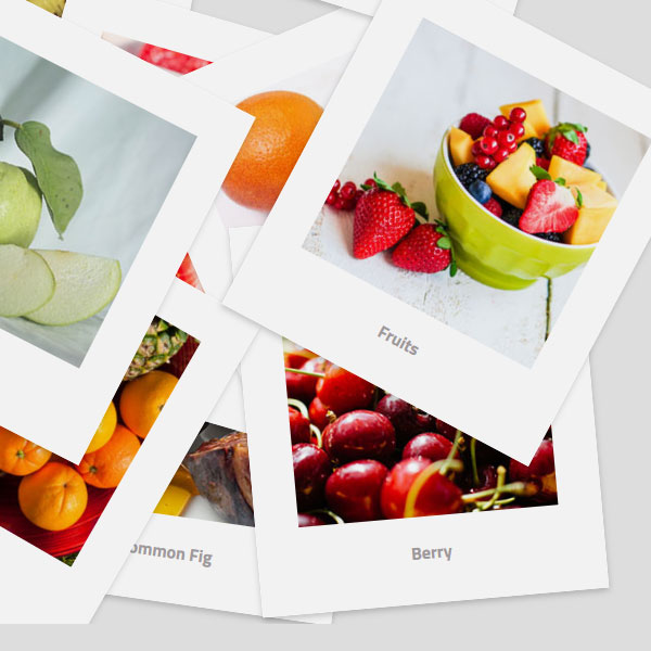 Elrevo Clinic Web Design & Development (WordPress)