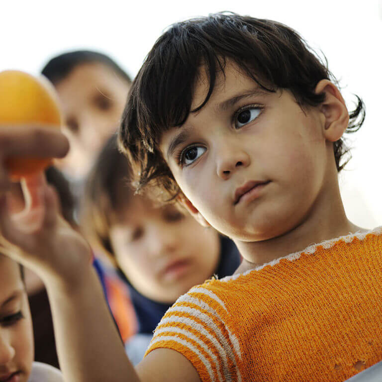 Elrevo Clinic Web Design & Development (WordPress)