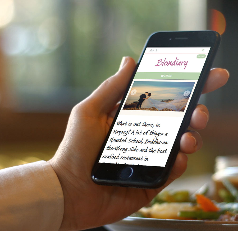 Blondiary Website Design & Development (Wordpress)