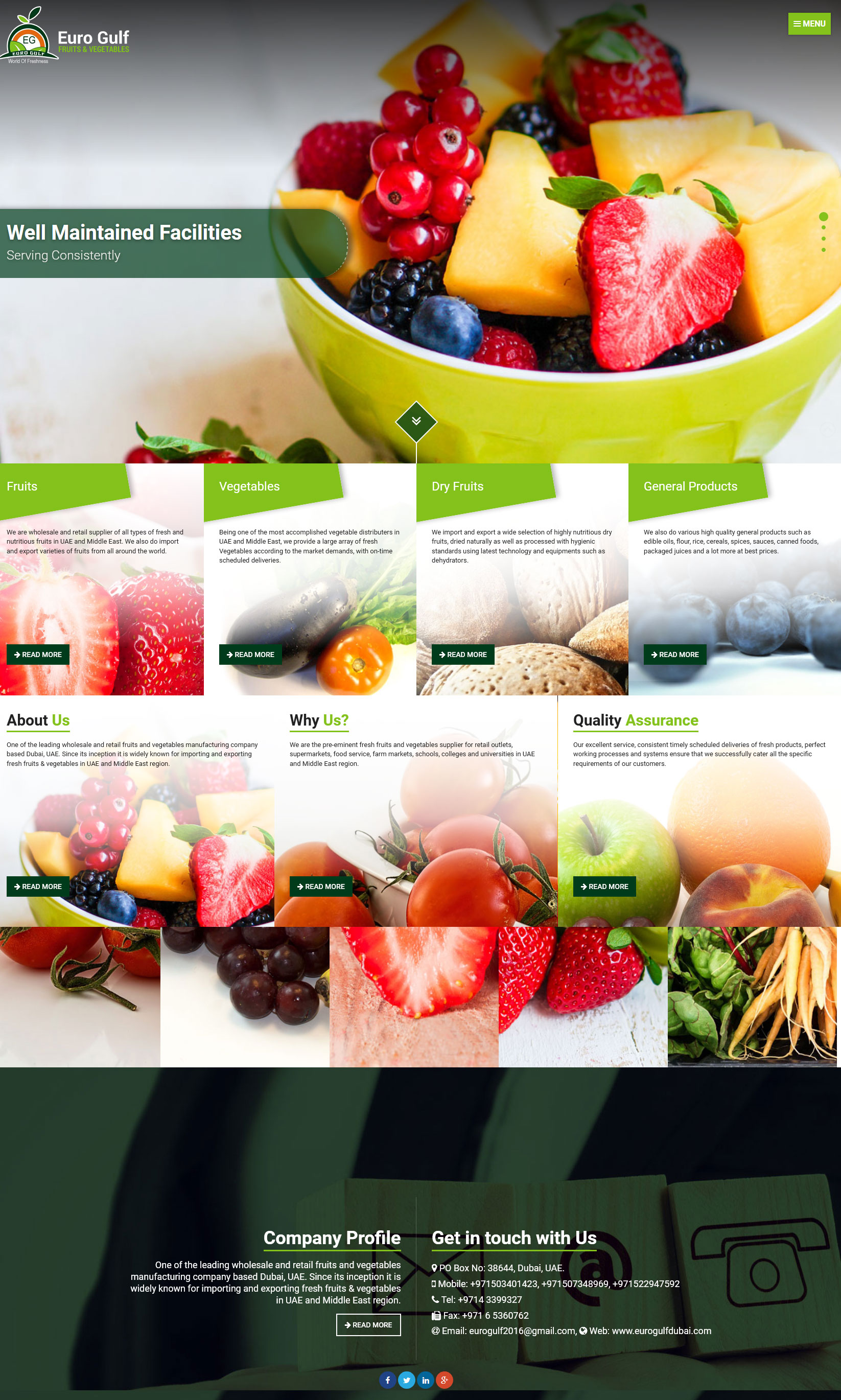 Web Design (UI/UX)